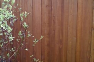 image14